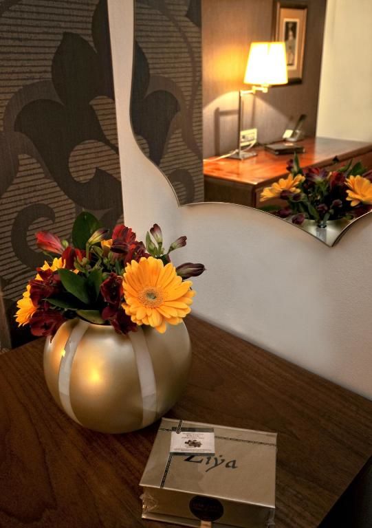 Отель Hotel Ziya Подгорица